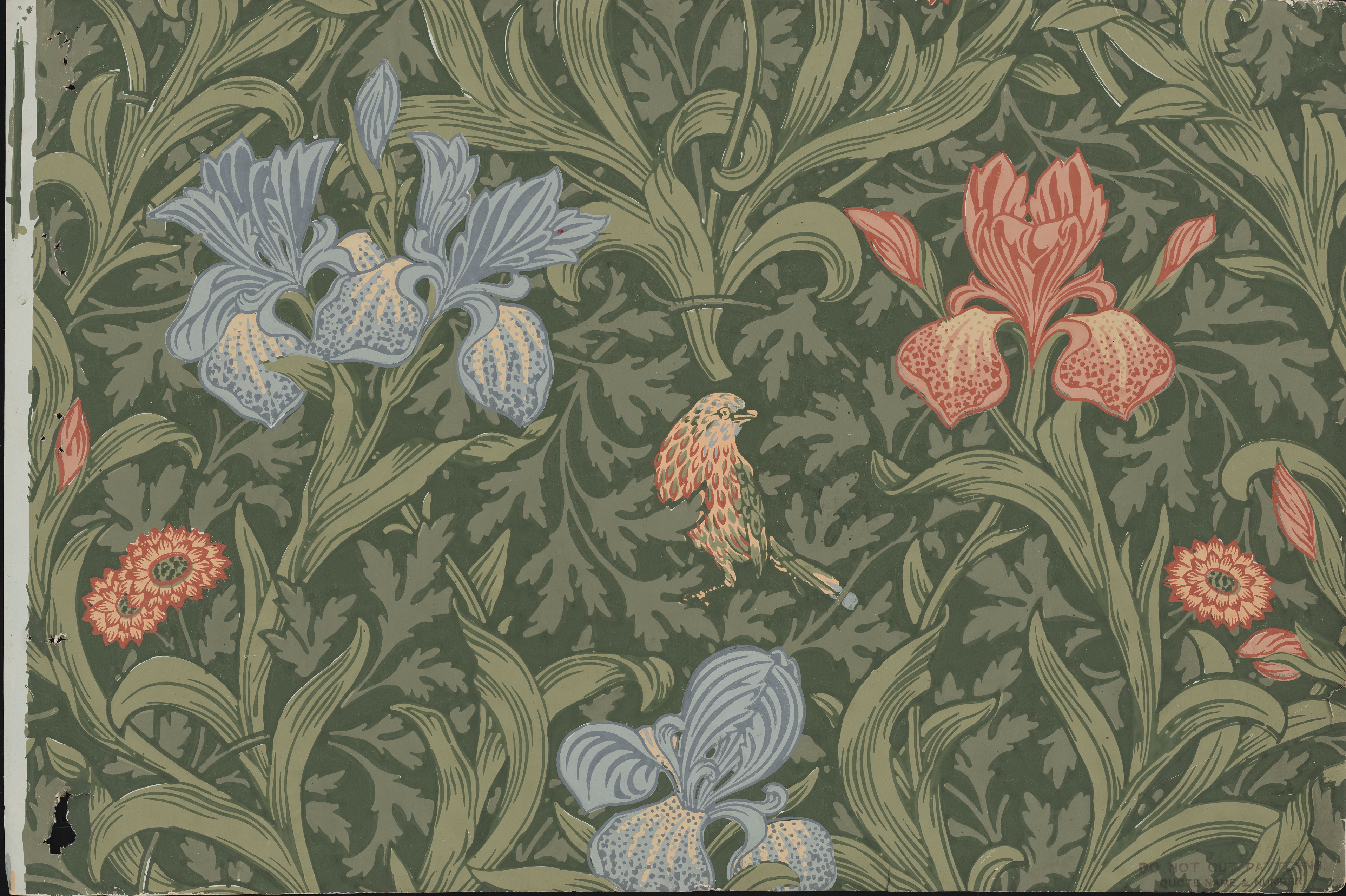 Iris page from wallpaper pattern book - William Morris Gallery