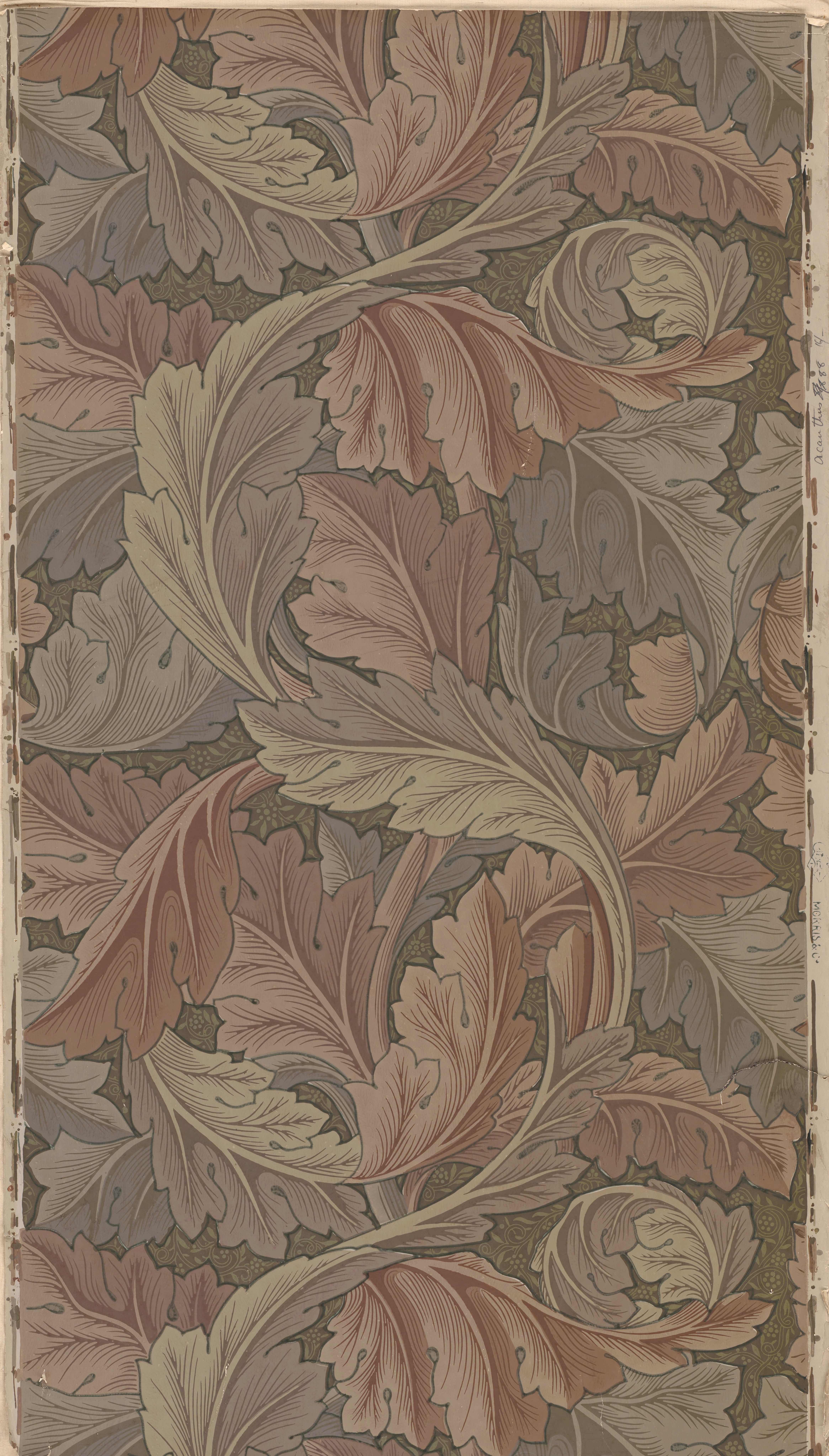 NaNaです。MORRIS Gallery Sanderson wallpaper Archives - Page 2 of 4 - William Morris Gallery